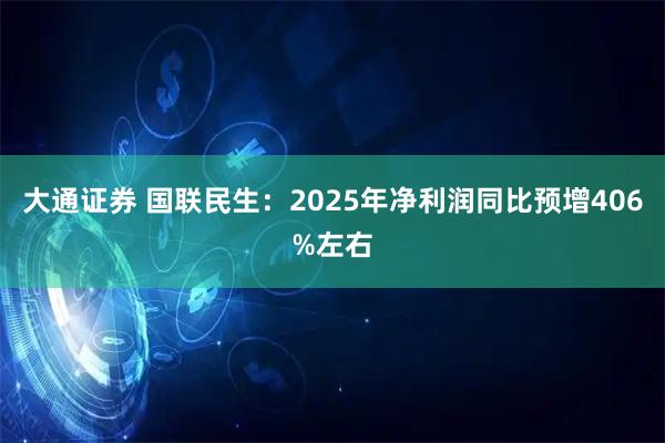大通证券 国联民生：2025年净利润同比预增406%左右