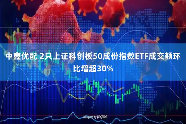 中鑫优配 2只上证科创板50成份指数ETF成交额环比增超30%