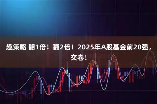 趣策略 翻1倍！翻2倍！2025年A股基金前20强，交卷！