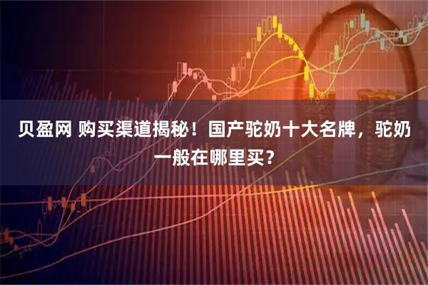 贝盈网 购买渠道揭秘！国产驼奶十大名牌，驼奶一般在哪里买？